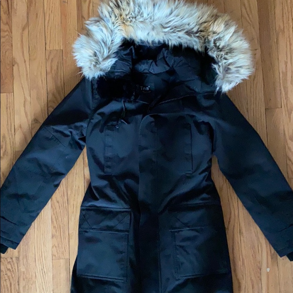 Aritzia Tna Bancroft Parka